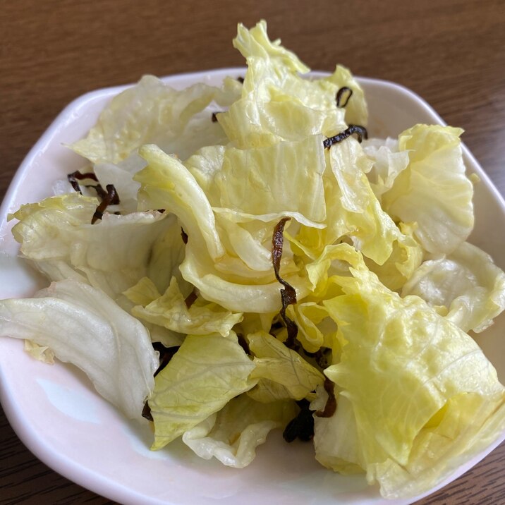 材料3つ!塩昆布とレタスの簡単和風サラダ